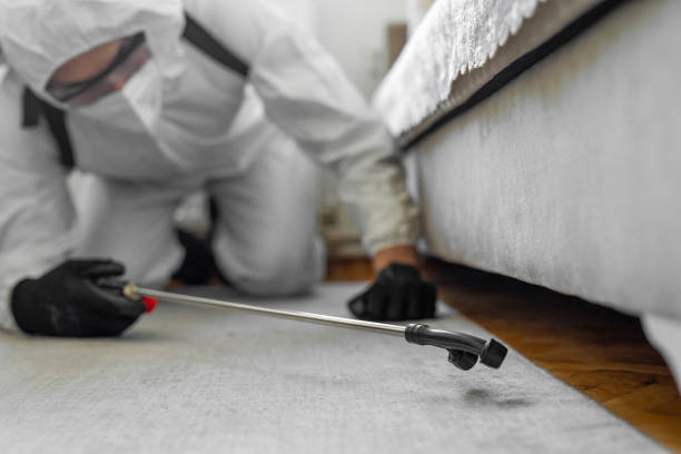 Professional Wasp Control technician working in Lake Oswego, OR
