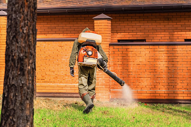 Trusted Bed Bug Control service in Lake Oswego, OR - Nex Pest Control